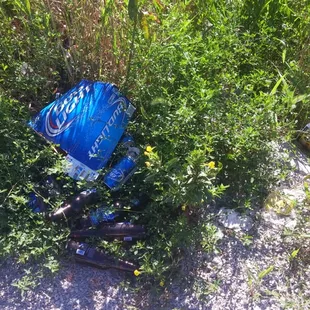 A whole lot of beer trash. Lovely right?