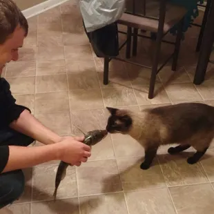 My cat being friendly with the walleye I caught here.