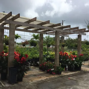 Glenn's Flowers and Plants