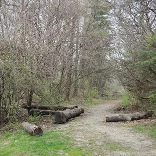 Trails are well maintained