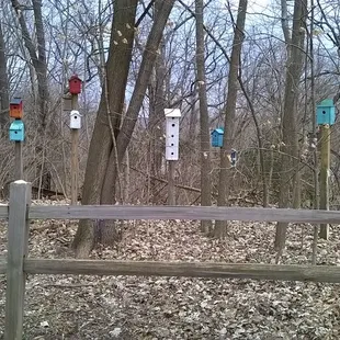 colorful bird feeders were added