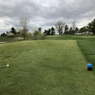 Par 3 - 8th hole