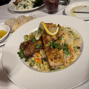 Mahi-mahi