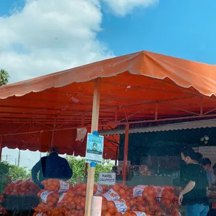 Best oranges! Very sweet and juicy