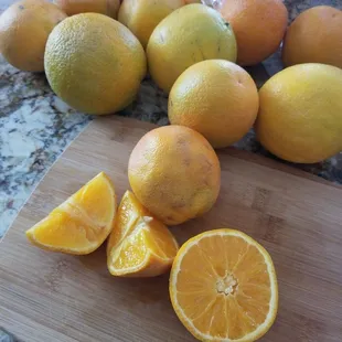 Terrible oranges today from Gless Ranch. Sad to sell these to anyone.
