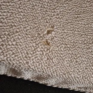 Cigarette burns in all the bedding