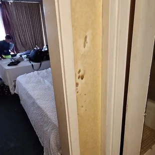 Lovely view for my kids to see and question what they are