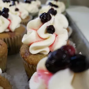 Huckleberry cupcakes