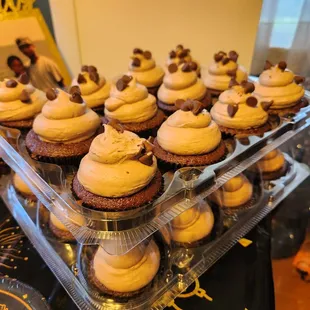 Chocolate cupcakes
