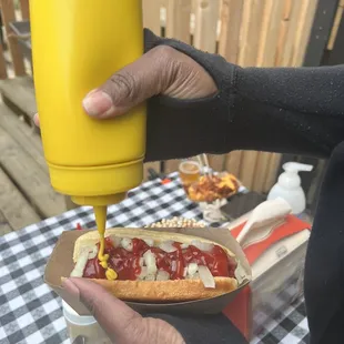 food, hot dogs, hot dog, sandwich