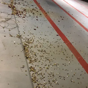 Lots of action today!!