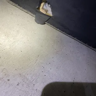 Hole in couch where mice were living.