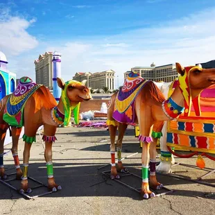 Travel the world in just ONE night