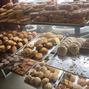 Pan dulce! Which one(s) should I get?!?