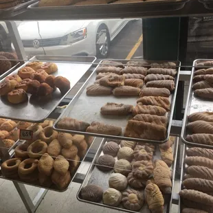 Pan dulce! Which one(s) should I get?!?