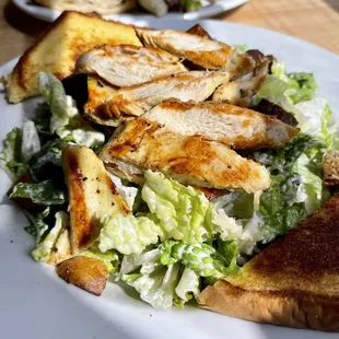 grilled chicken and lettuce salad