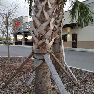 View from ToGo parking area.