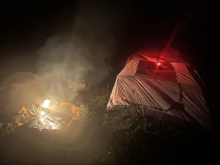 Rocksteady Adventures