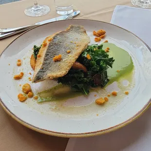 Rainbow Trout