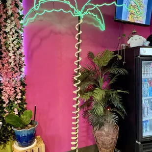 02.17.25 neon palm tree