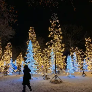 Forest -one of my fav parts