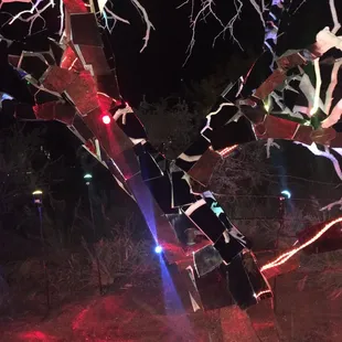 Beautiful &quot;glowing tree!&quot;