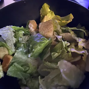 The tiny salad with lettuce and croutons only