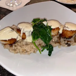 Scallops Risotto