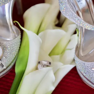 We capture even the smallest of details