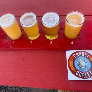 Cool flight presentation