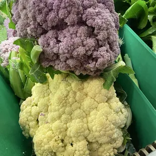 Mao farm cauliflower- massive !!