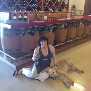 Harry is a wonderful tasting room guide, and Goldie offers additional warmth to the experience!