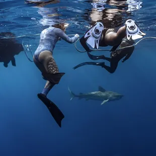 Go Adventure Hawaii