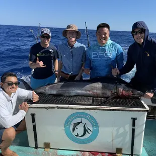 Second marlin of the day! These guys were all about the action