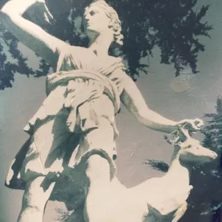 Artemis R.