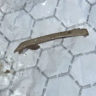 a slug on the ground