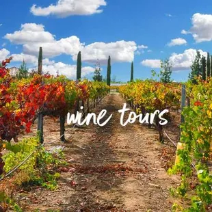 Go Ride 24/7                                                                                  707-656-2282