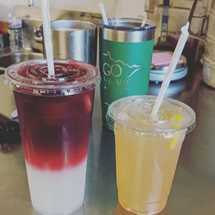 Terminator Tea and Green Tea with Mango
