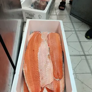 food, sushi and sashimi, sushi, sashimi