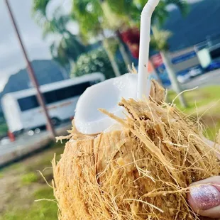 Coconut just insanely delicious