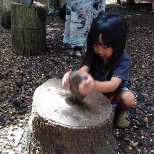Pounding Macadamia nut at the farm