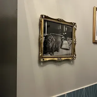 Bathroom photos
