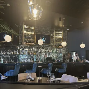 Cool bar area. Kind of prohibition-era vibes.