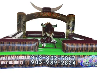 Clown Around Party Rental