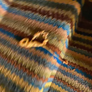 a cat laying on a blanket