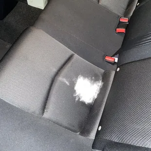 Trying to get lasagna grease stains out of my car!