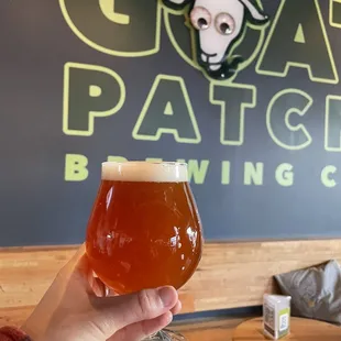 a hand holding a glass of beer