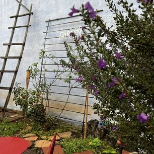a patio area with a ladder
