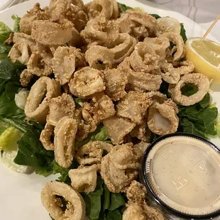 Calamari Tastuta