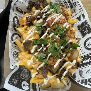 bulgogi fries